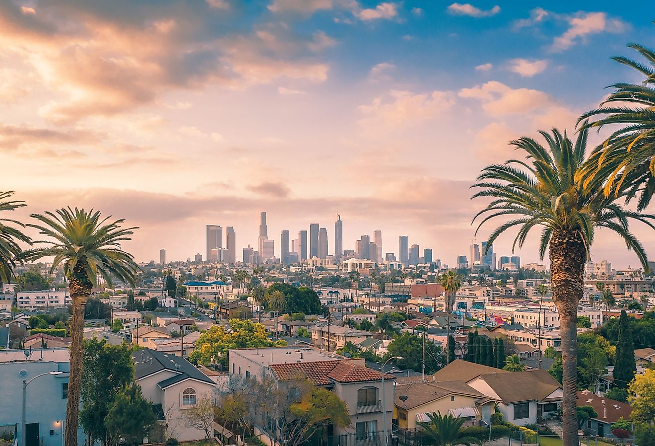 Beautiful sunset of Los Angeles downtown skyline and palm trees.