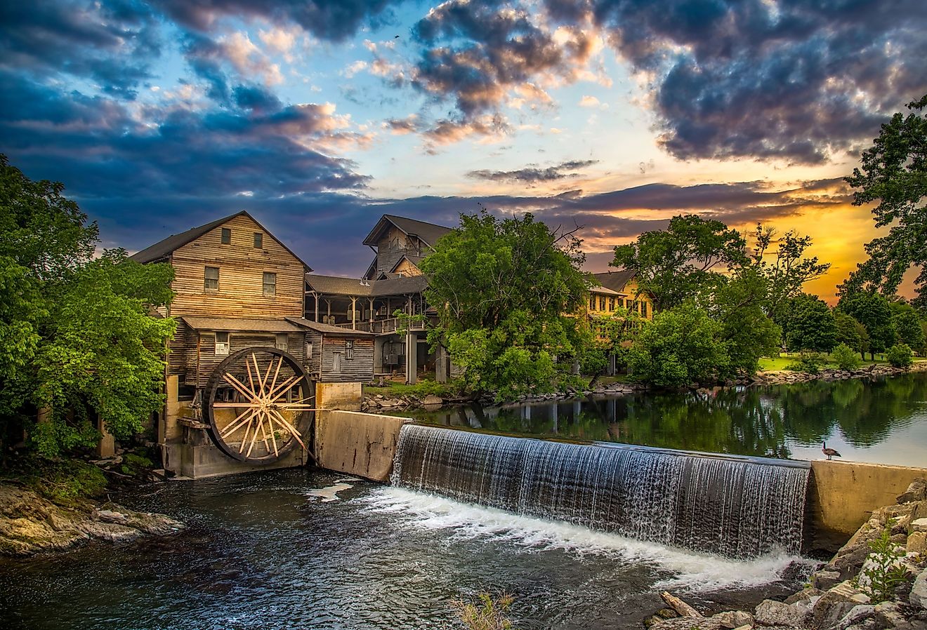 The old mill in Gatlinburg, Tennessee and a duck on the surface of the water.