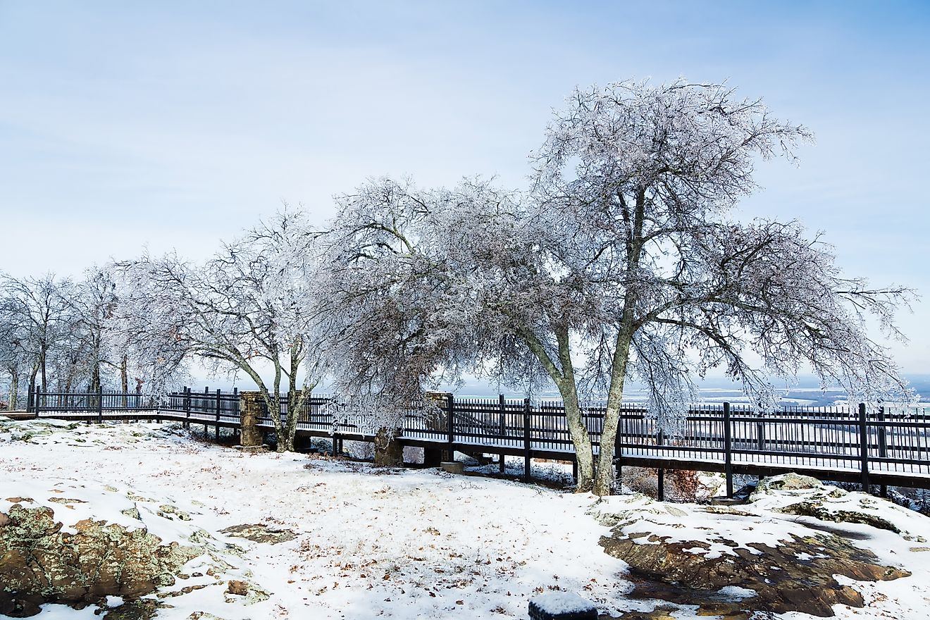 Icy trees at the Boardwalk - a consequence of freezing rain. The observation deck at Petit Jean, Arkansas, United States