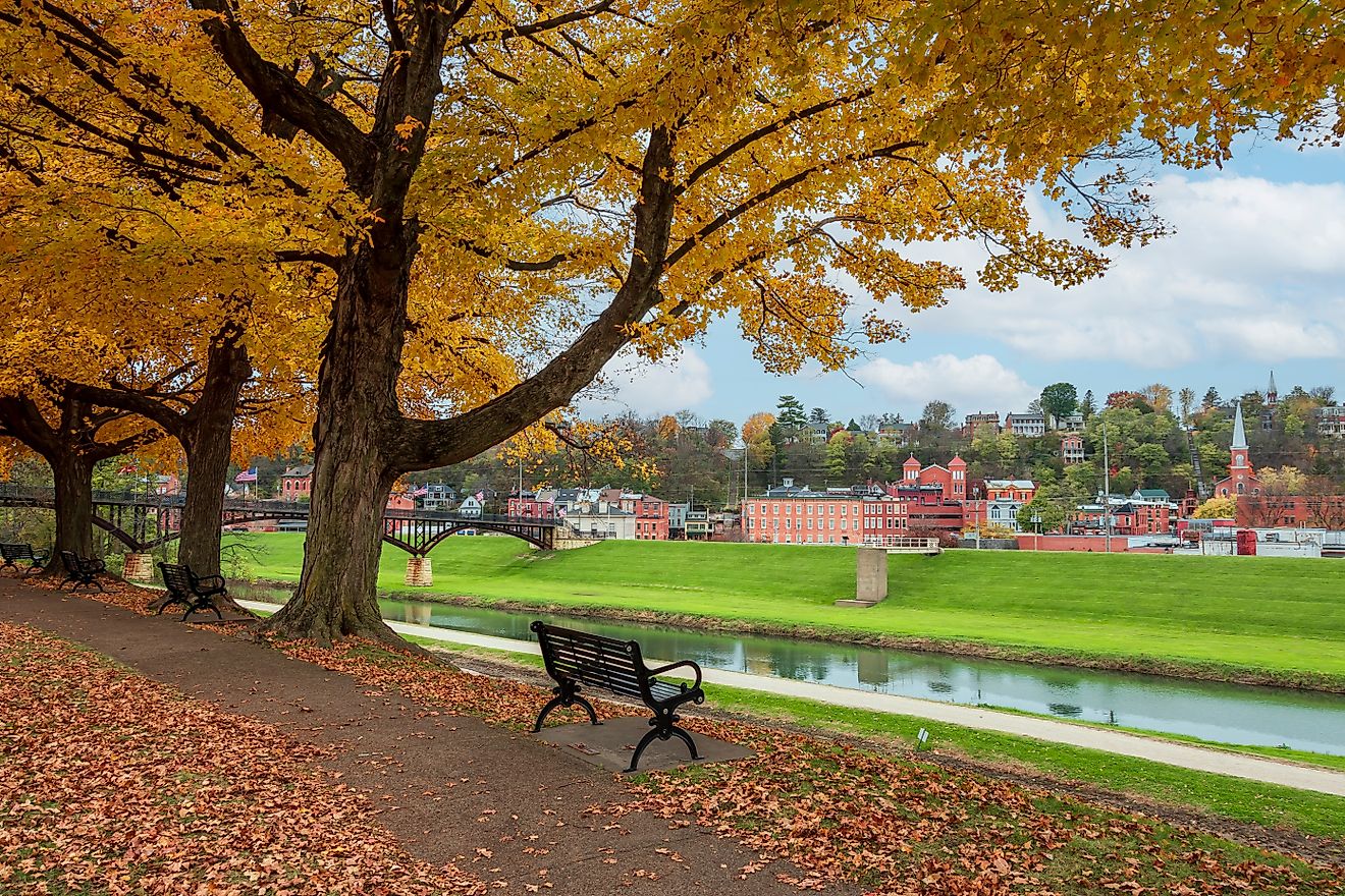 Yellow leaves during autumn in Grant Park, Galena, Illinois.