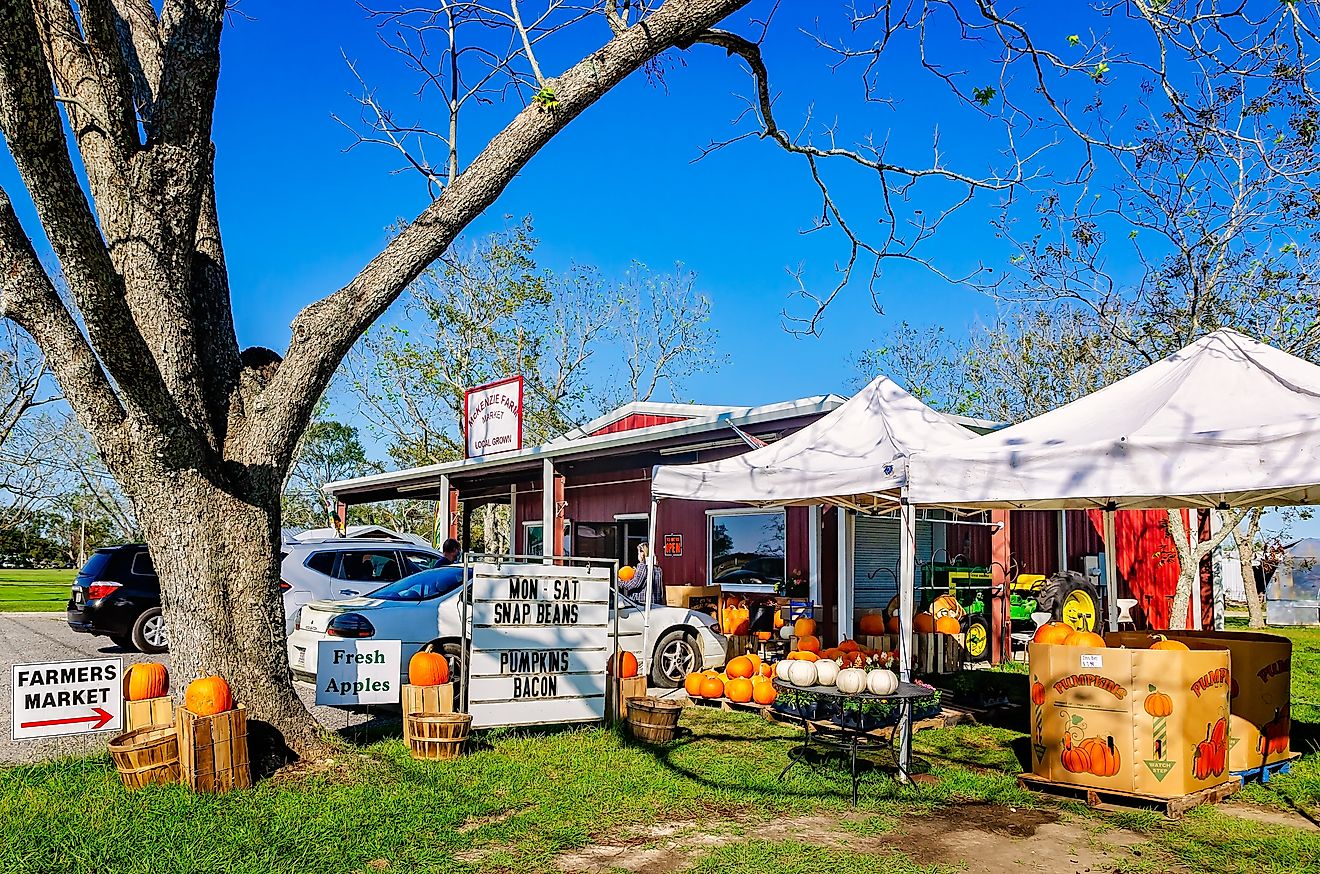 McKenzie Farm Market in Fairhope, Alabama. Editorial credit: Carmen K. Sisson / Shutterstock.com