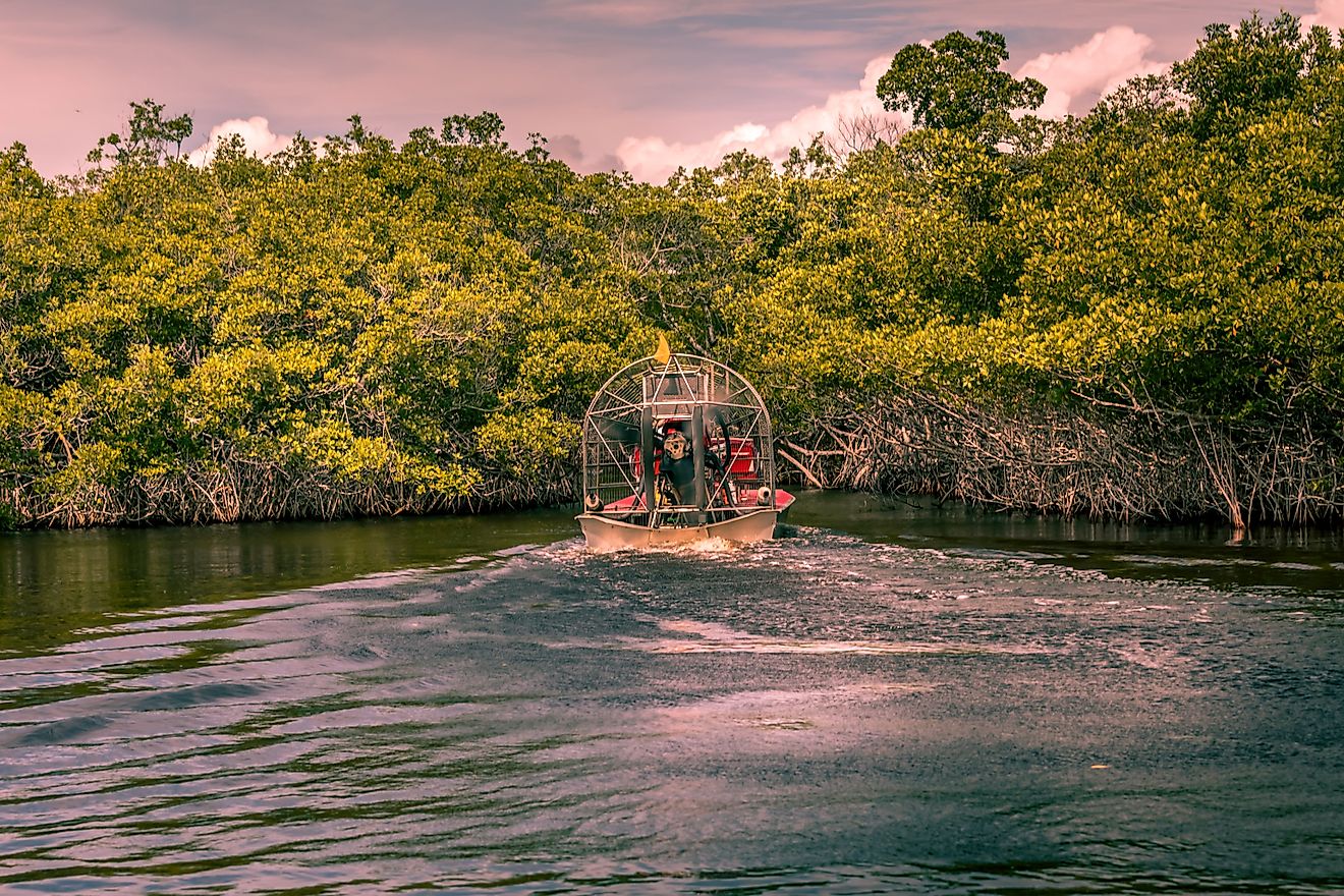 An airboat glides through the vast wetlands of the Florida Everglades