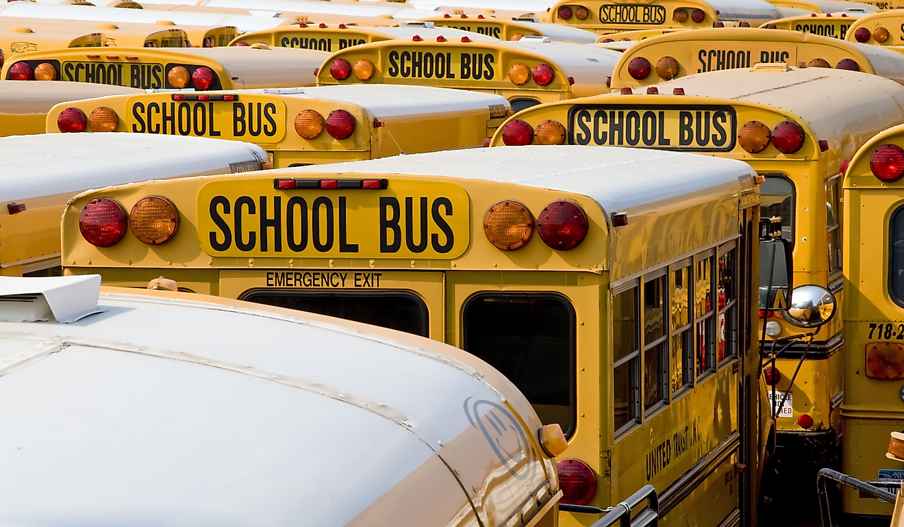 School buses in close formation. Image Credit ExaMedia Photography via Shutterstock.