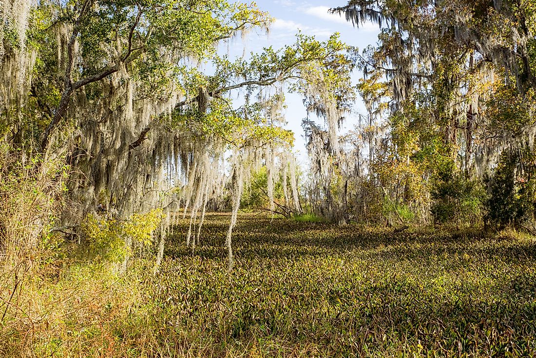 where-is-the-mississippi-delta-worldatlas