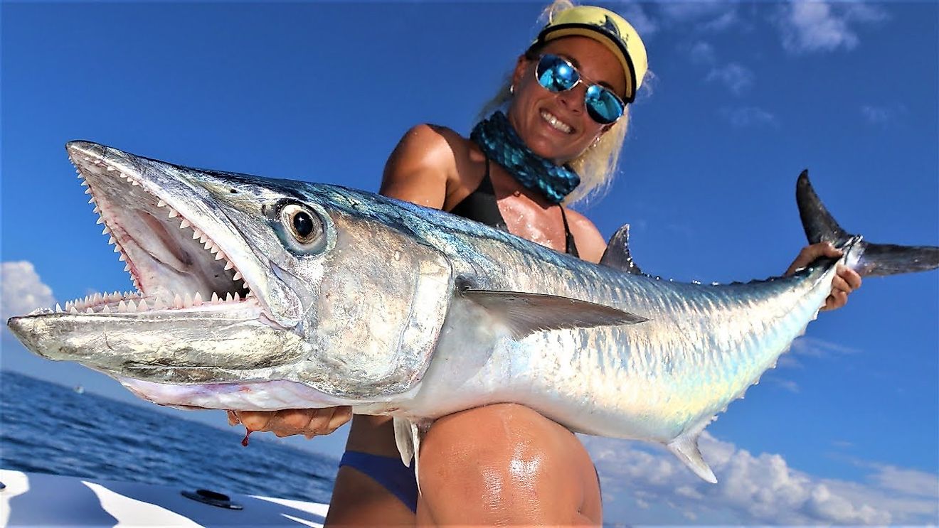 Fishing's Most Incredible Catches