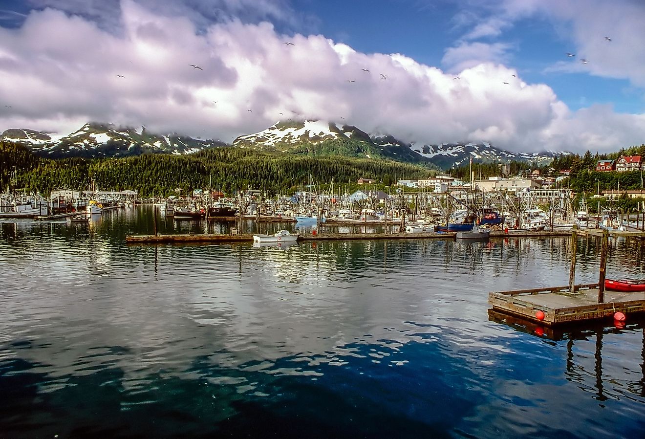 Boats in the harbor in Cordova, Alaska.