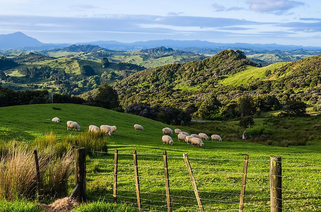 new zealand agriculture industry