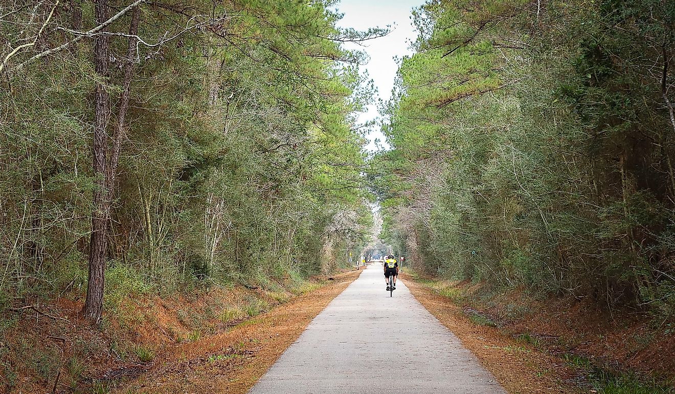 Mandeville, Louisiana. A bicyclist rides along the Tammany Trace bike trail. Editorial credit: Wirestock Creators / Shutterstock.com