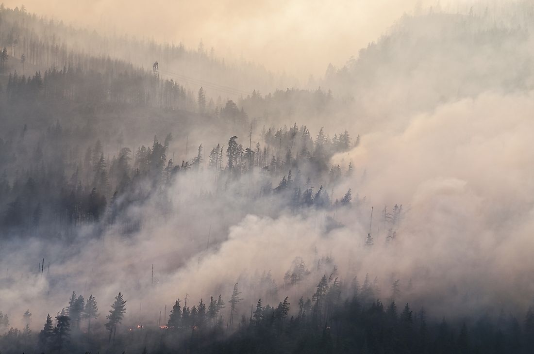 Fire from a forest fire in Canada. 