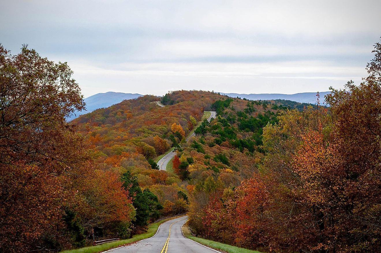 Talimena Drive in fall.