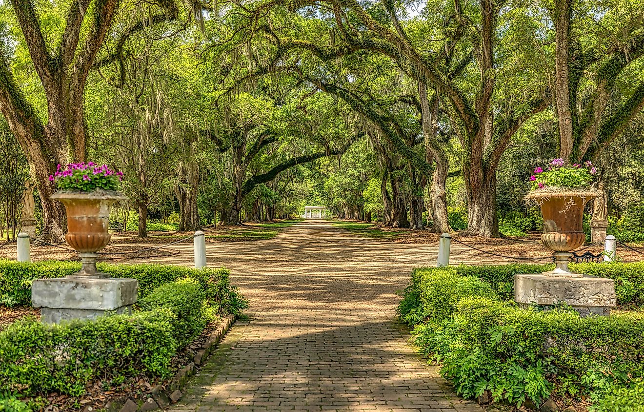 The scenic Rosedown Plantation in St. Francisville, Louisiana.