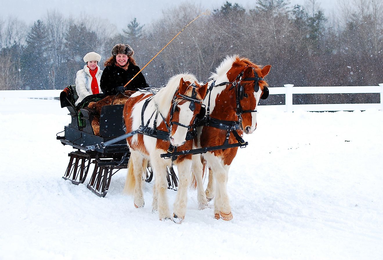 Winter sleigh ride through the countryside during a snow fall near Christmas in Stockbridge, Massachusetts. Image credit James Kirkikis via Shutterstock