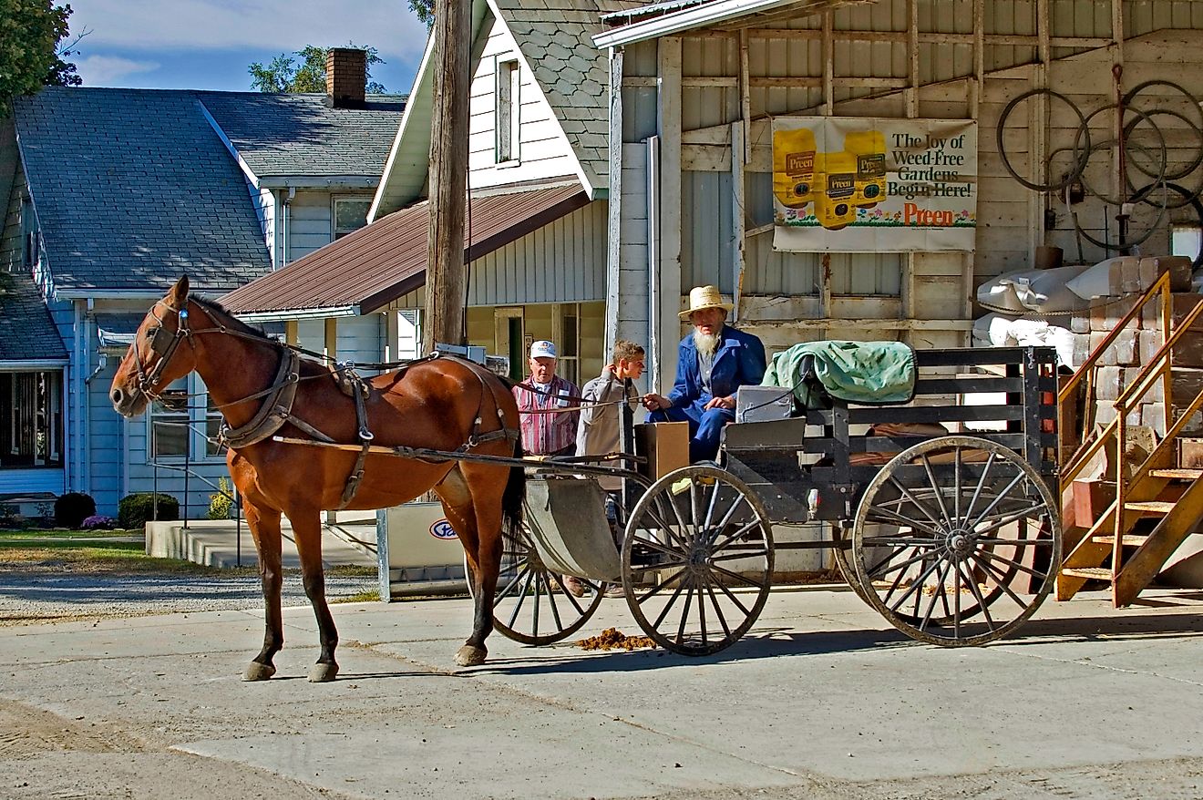 An Amish buggy in Shipshewana, Indiana. Editorial credit: Dennis MacDonald / Shutterstock.com