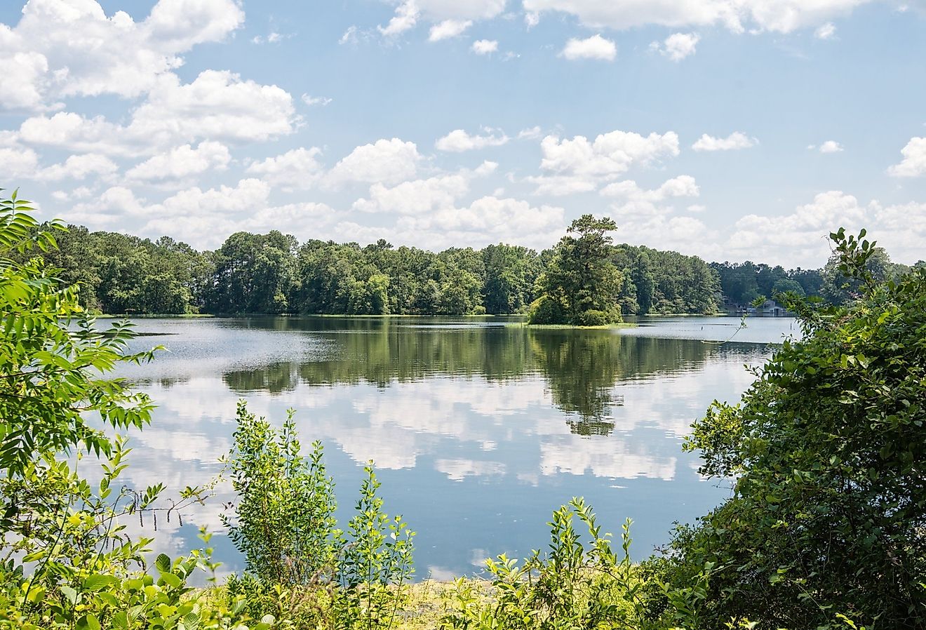 Cloud reflections on Lay Lake in Alabama.