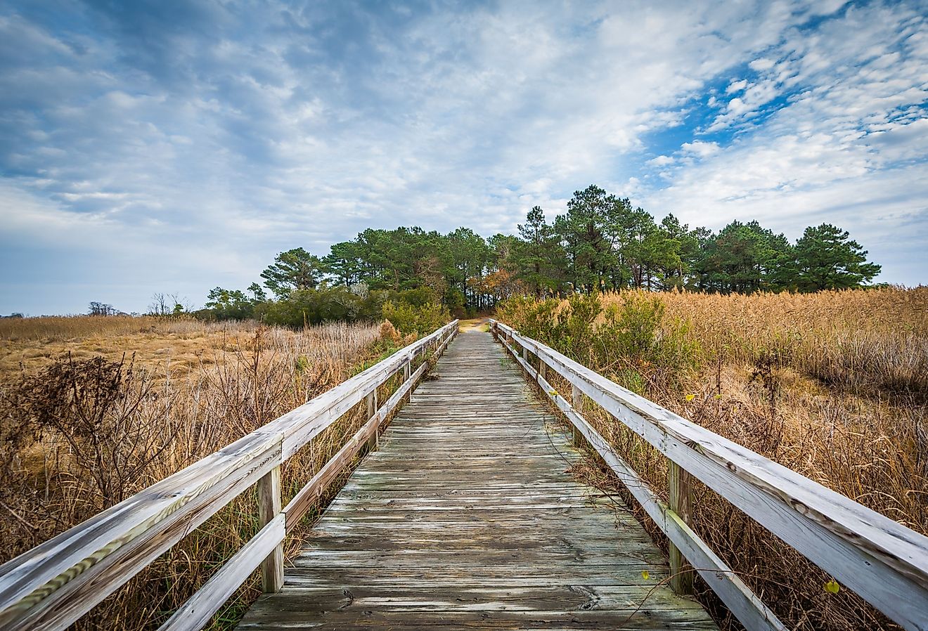 Boardwalk trail at Chincoteague Island, Virginia.