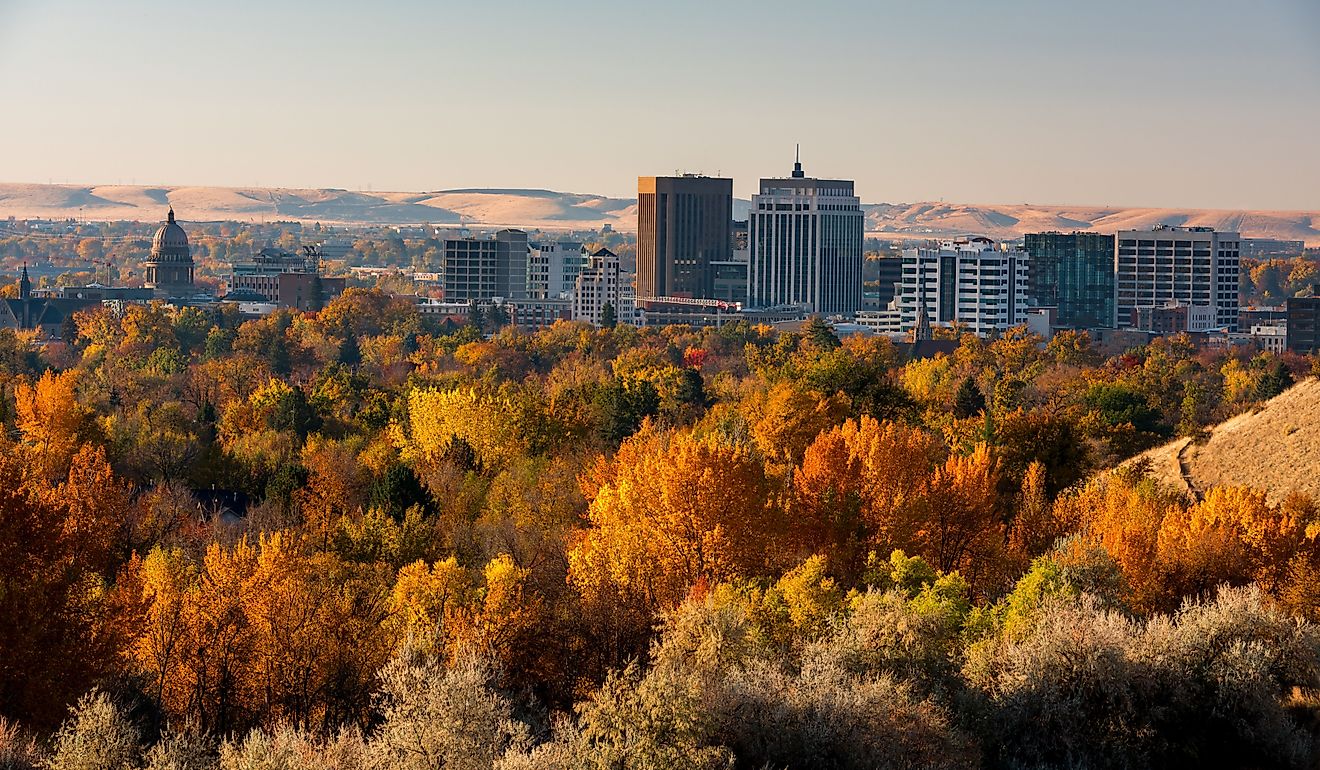 Fall trees and buildings of Boise, Idaho, skyline.