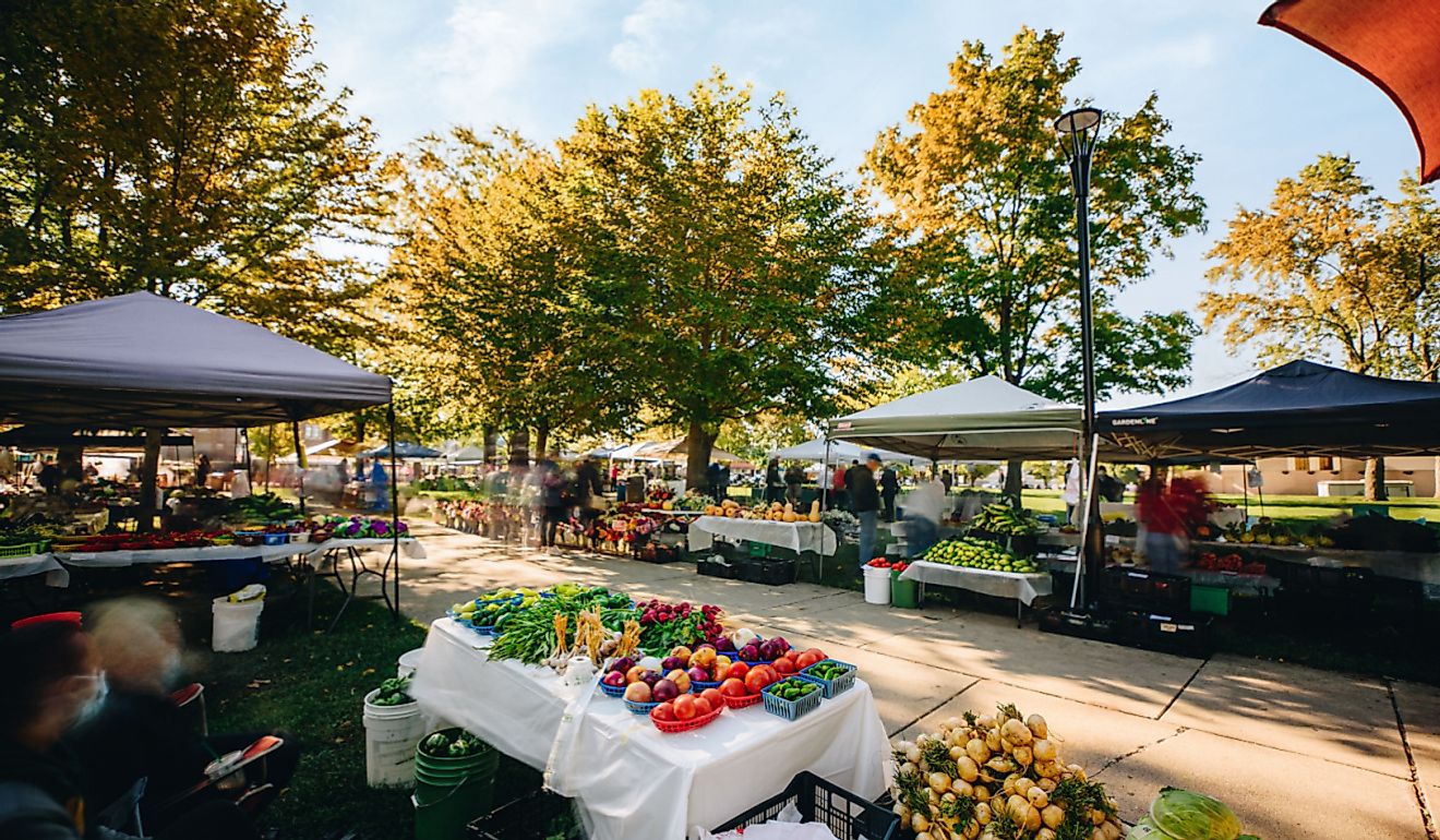 Farmer's market in Sheboygan. Image credit Fern M. Lomibao via Shutterstock