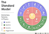 infographic showing the elementary particles in physics