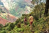 Waimea canyon in Kauai, Hawaii