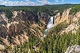 Yellowstone Lower Falls in the Yellowstone National Park in Wyoming.