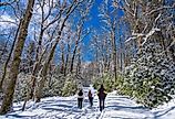 Family hiking in Blowing Rock, just off Blue Ridge Parkway.