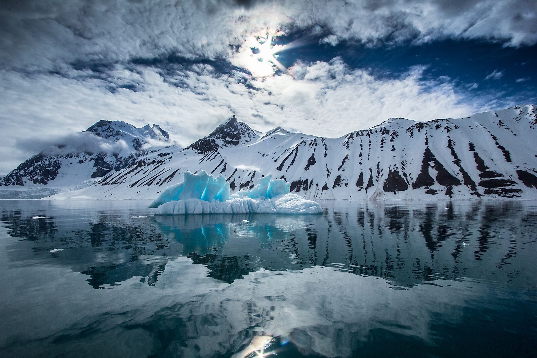 Plant Life In Antarctica WorldAtlas