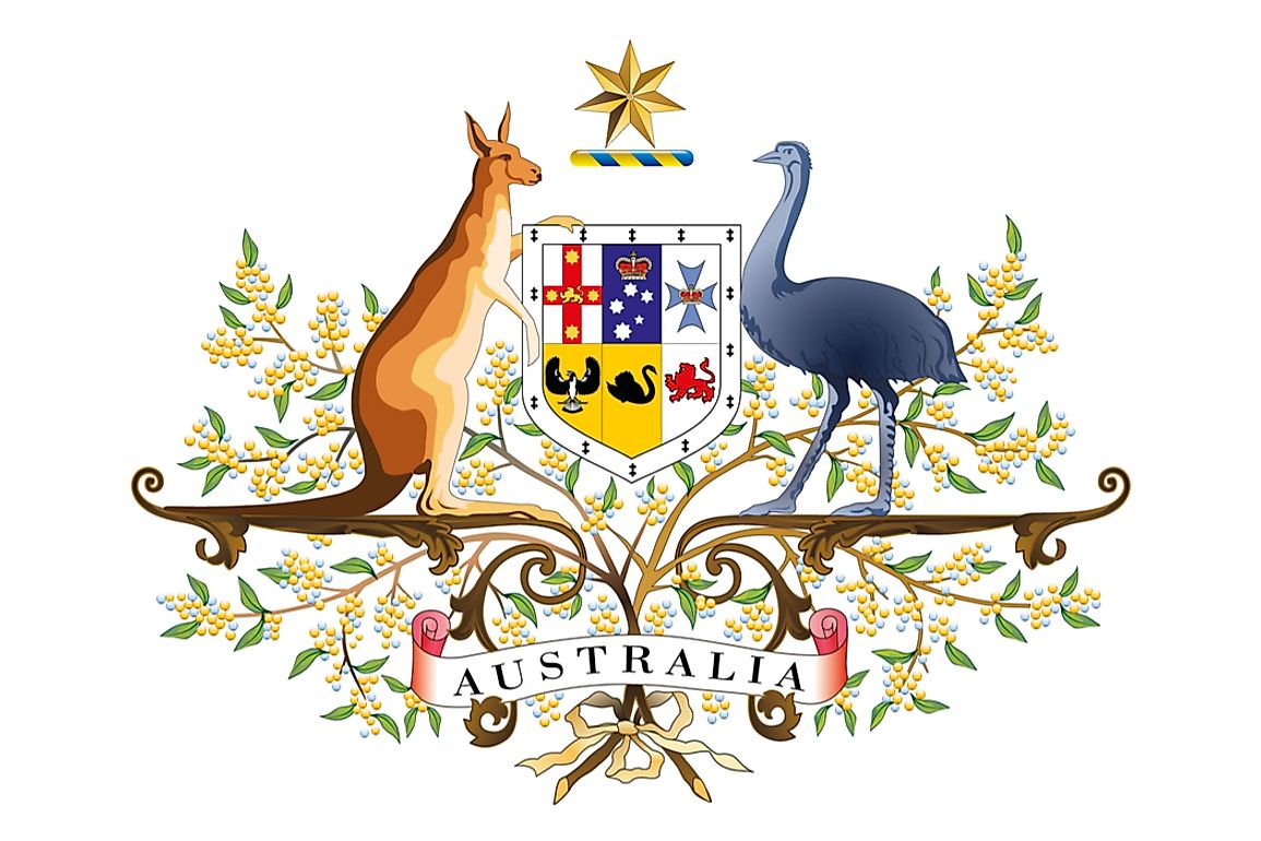 The National Animals Of Australia WorldAtlas