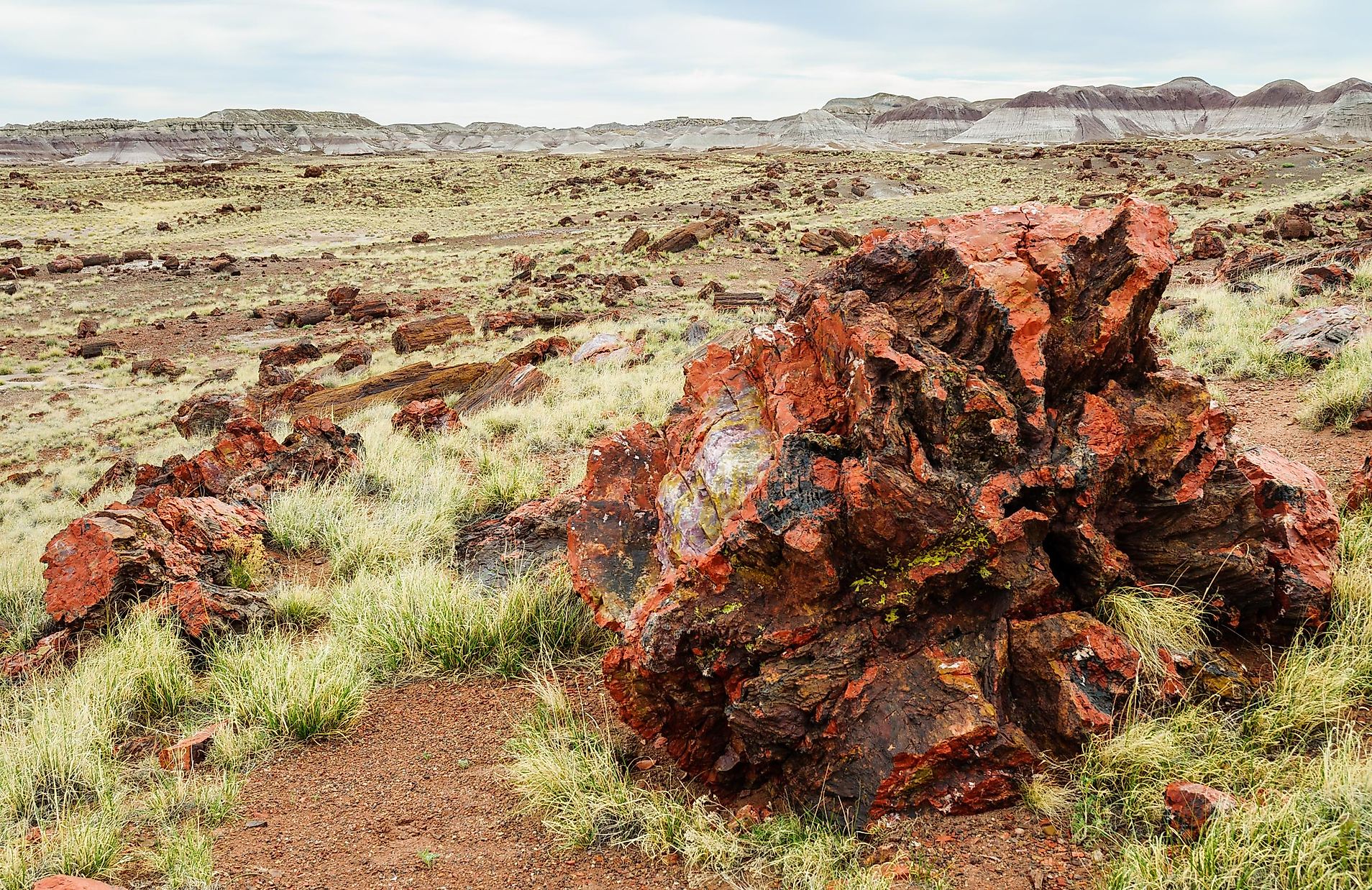 What The Petrified Forest Arizona Famous For  WorldAtlas