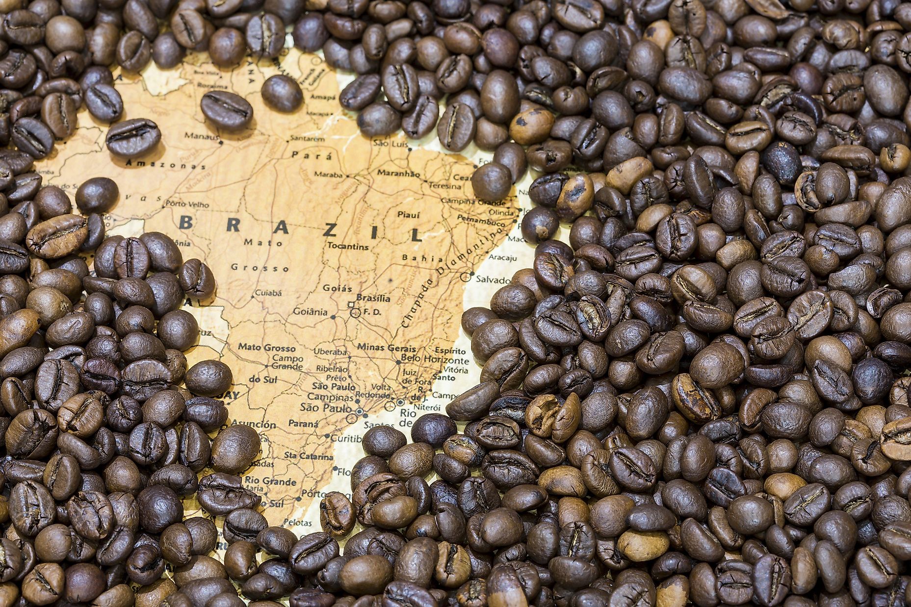 The World's Largest Exporters Of Coffee WorldAtlas