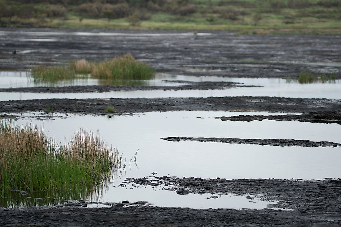 What Is Special About Pitch Lake In Trinidad WorldAtlas   Pitch Lake Trinidad 