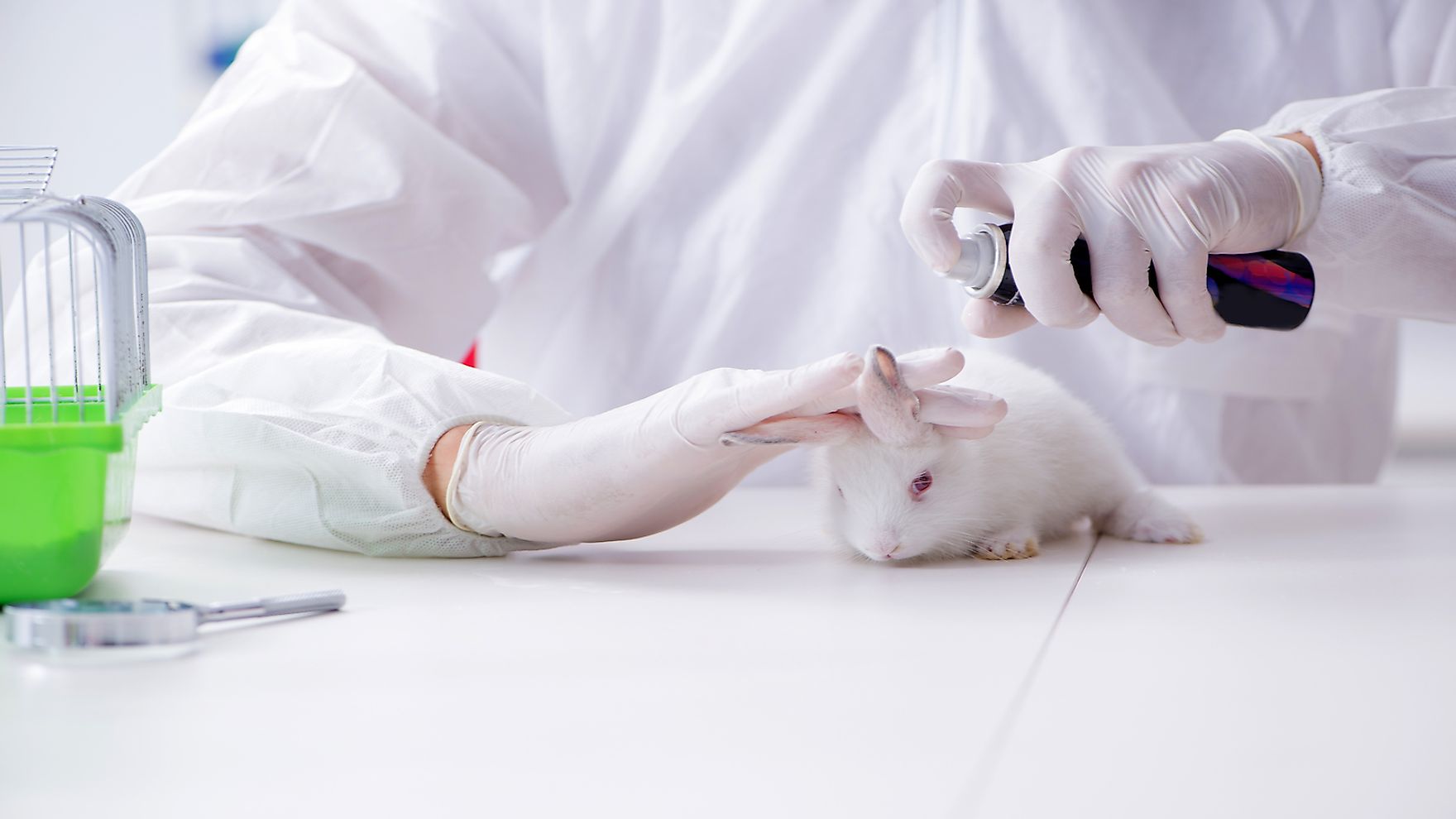 research papers on animal testing