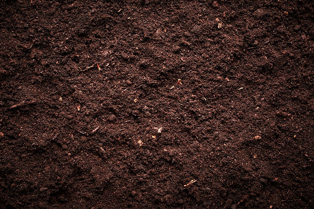 What Does Soil Consist Of WorldAtlas