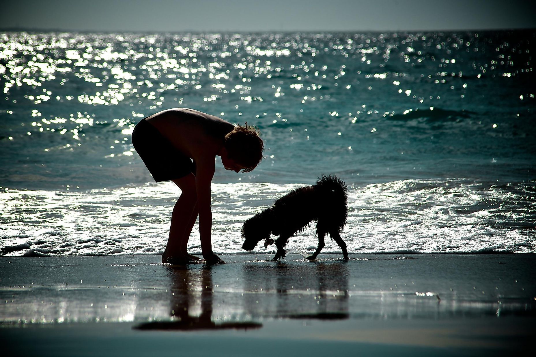 What Is Beachcombing? - WorldAtlas