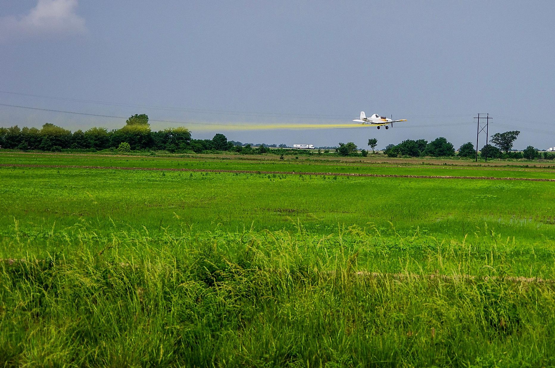 the-leading-rice-growing-states-in-the-united-states-worldatlas