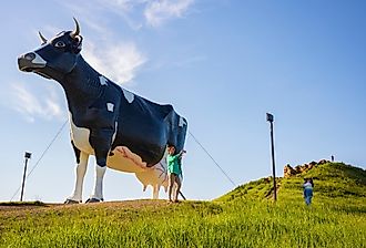 Salem Sue, the World's Largest Holstein Cow in New Salem, North Dakota. Image credit JWCohen via Shutterstock