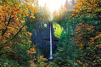 Scenic fall view of the Latourell Falls along the Columbia River Gorge in Oregon. 