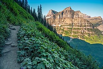 Scenic Highline Trail with views of Glacier Valley by the Going-to-the-Sun Road in Glacier National Park, Montana.