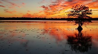 Sunset on Lake Seminole, Georgia.