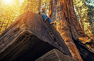 Sequoia National Park