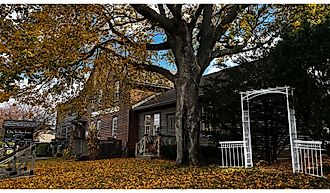 Leaves falling at Amana Colonies, Iowa.