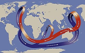 The Thermohaline Circulation, often called the Global Ocean Conveyor Belt. 