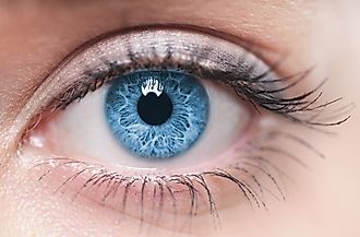 Blue eyes are uncommon, with about 8-10% of the world having them.