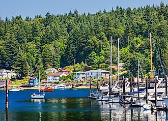 White Sailboats Marina Reflection Gig Harbor Washington State