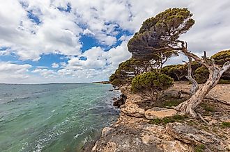 Shoreline at Spencer Gulf near the town Whyalla, Australia.