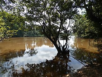 The Cavalla River in Africa.