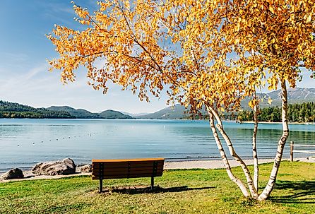 City Beach landscape on a sunny fall day in Whitefish, Montana.