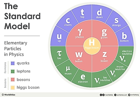 infographic showing the elementary particles in physics