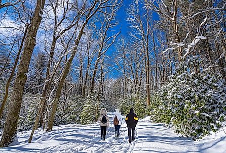 Family hiking in Blowing Rock, just off Blue Ridge Parkway.