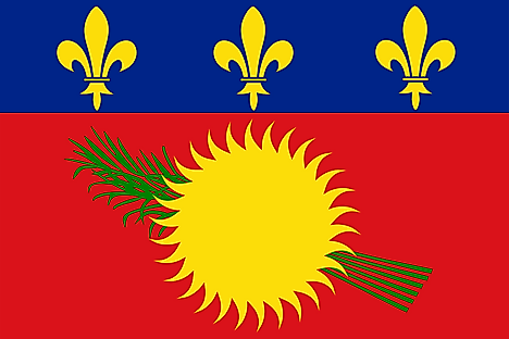 Locally used unofficial flag of Guadeloupe