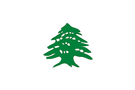 official lebanese flag